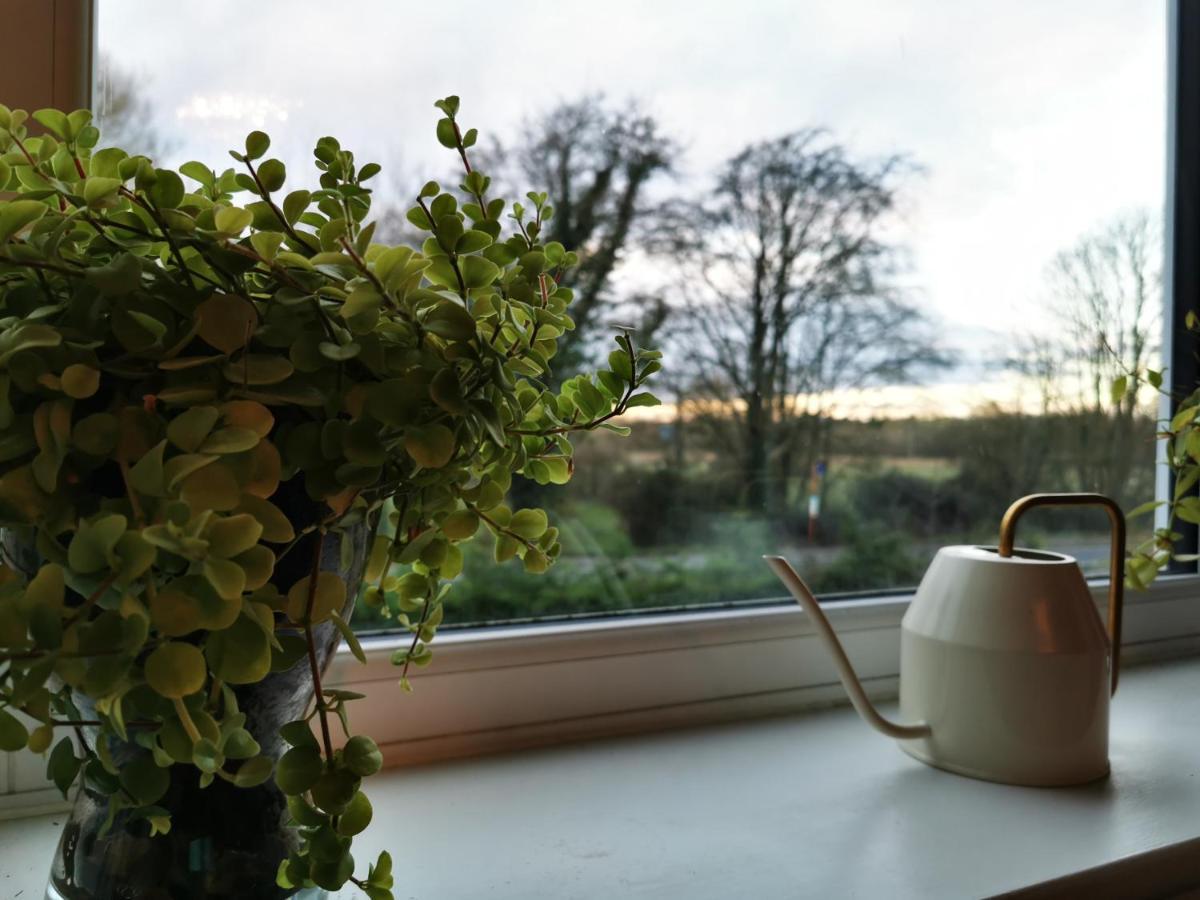 Redbrook Farm Bnb - Gateway To The New Forest Fordingbridge Extérieur photo