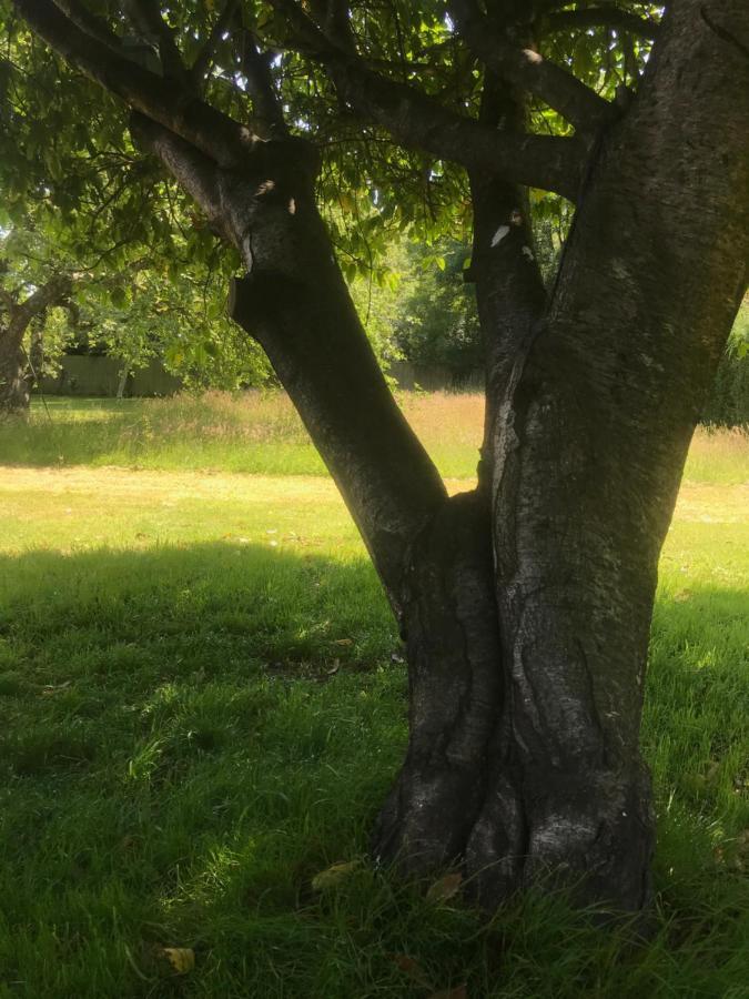 Redbrook Farm Bnb - Gateway To The New Forest Fordingbridge Extérieur photo