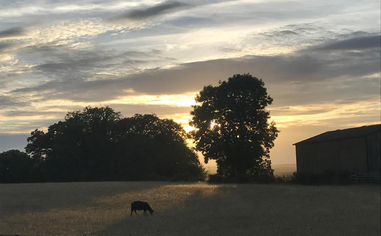 Redbrook Farm Bnb - Gateway To The New Forest Fordingbridge Extérieur photo