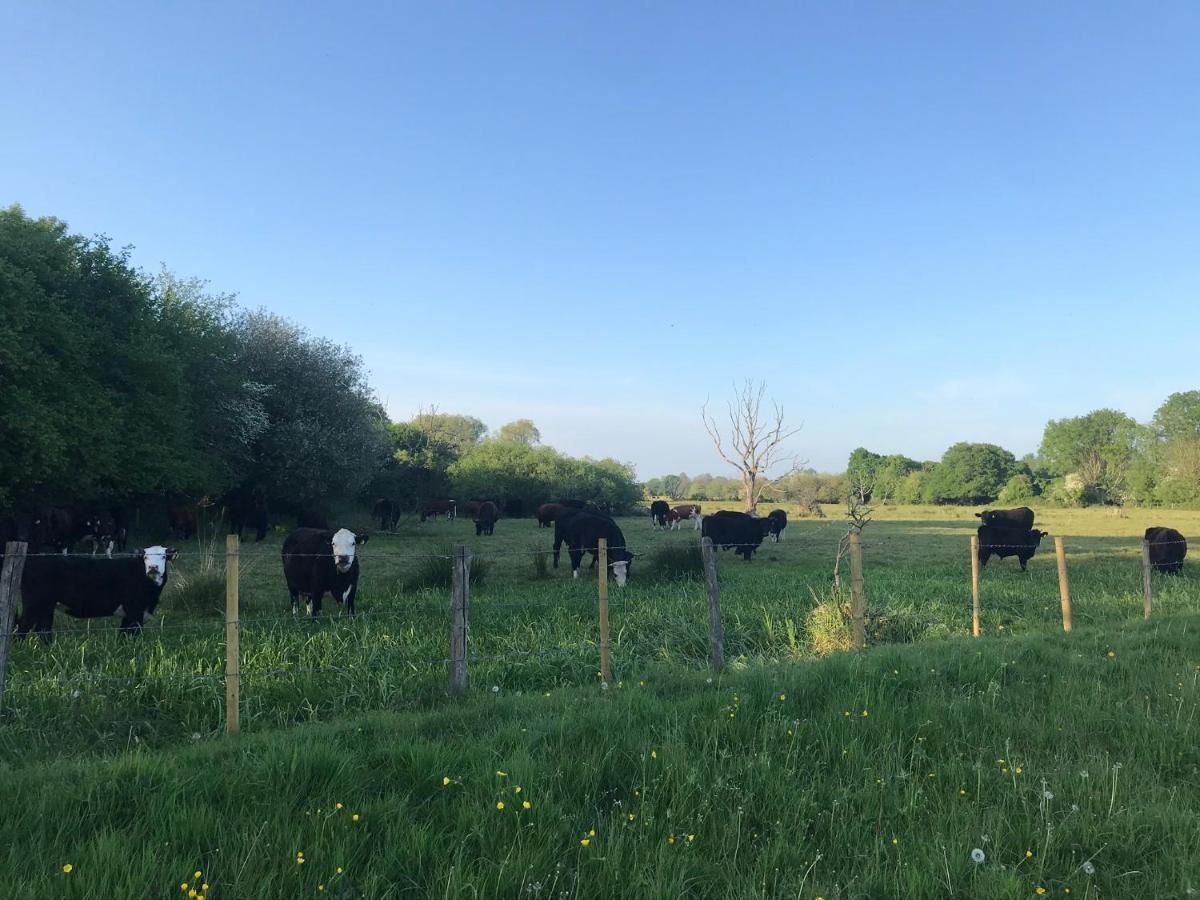Redbrook Farm Bnb - Gateway To The New Forest Fordingbridge Extérieur photo