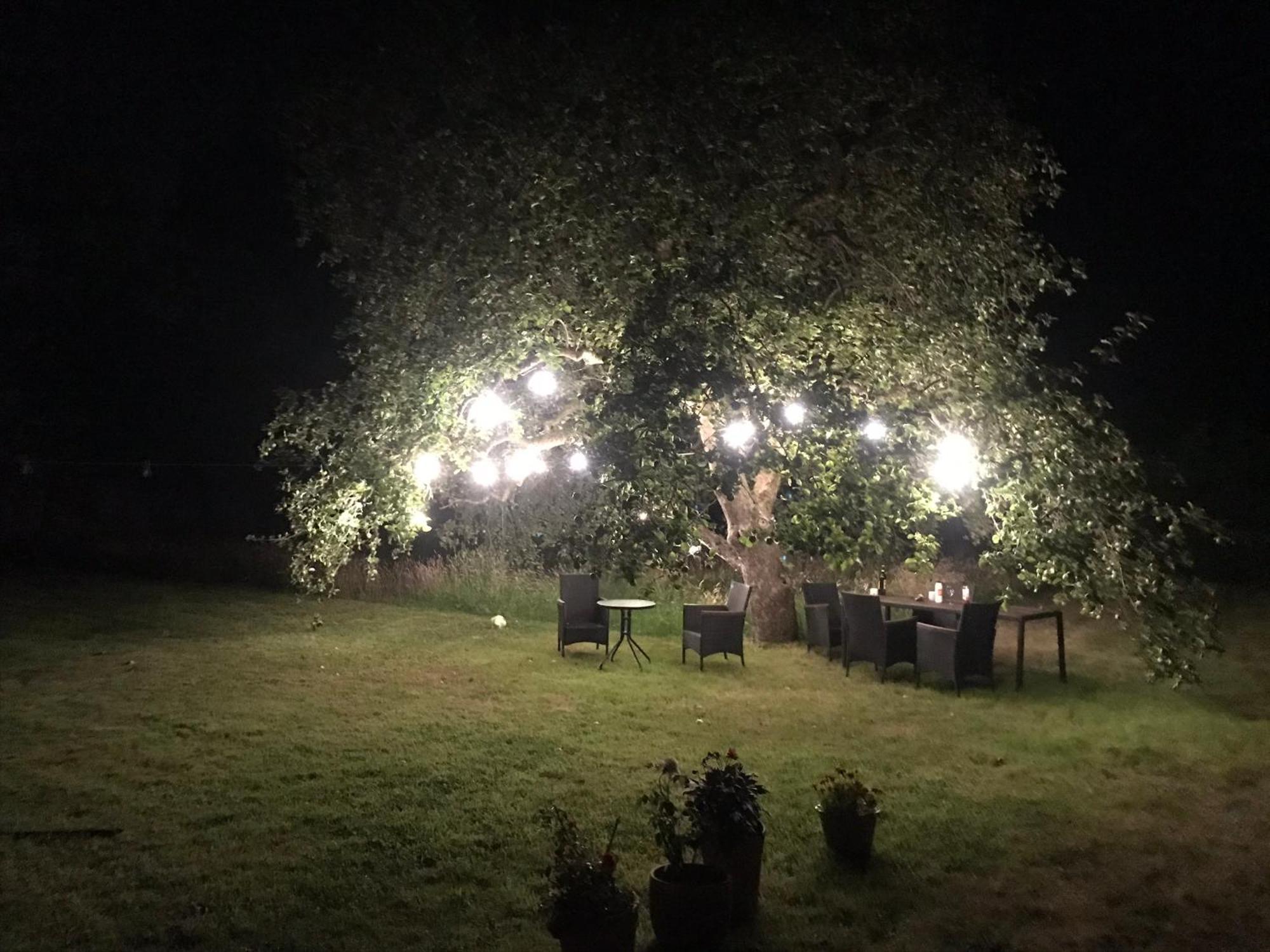 Redbrook Farm Bnb - Gateway To The New Forest Fordingbridge Extérieur photo