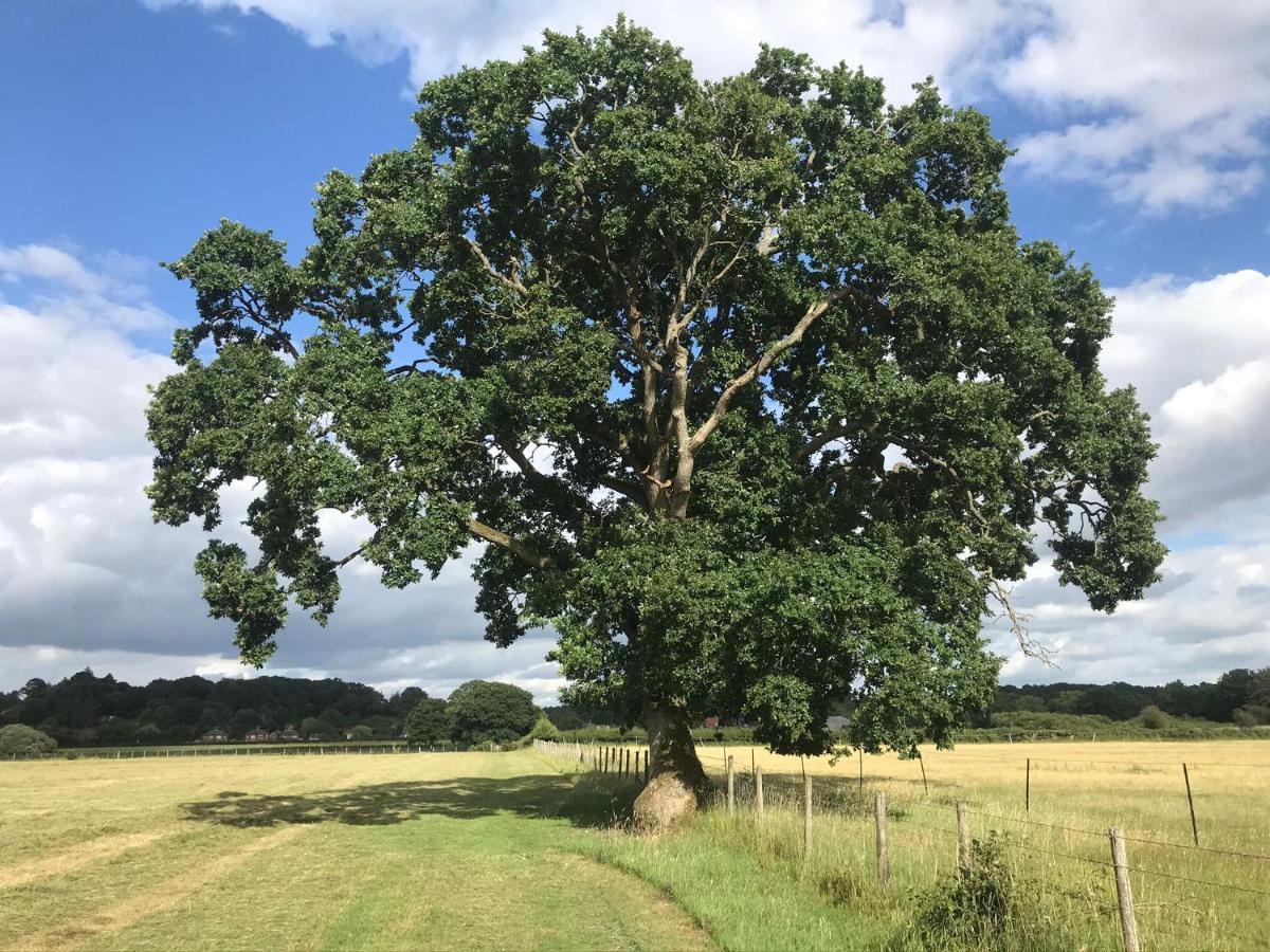 Redbrook Farm Bnb - Gateway To The New Forest Fordingbridge Extérieur photo