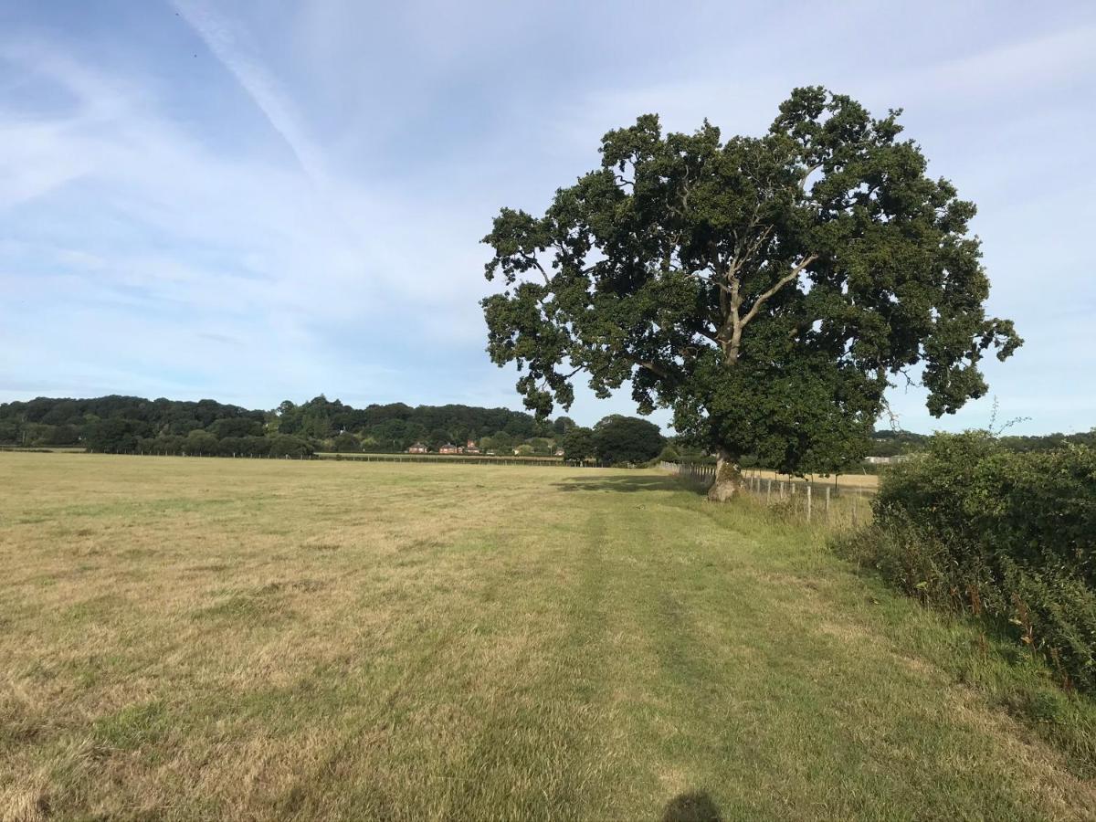 Redbrook Farm Bnb - Gateway To The New Forest Fordingbridge Extérieur photo
