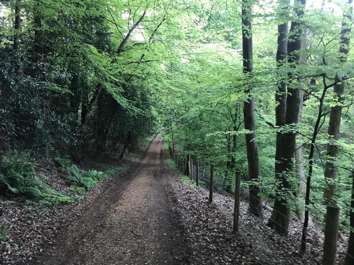 Redbrook Farm Bnb - Gateway To The New Forest Fordingbridge Extérieur photo