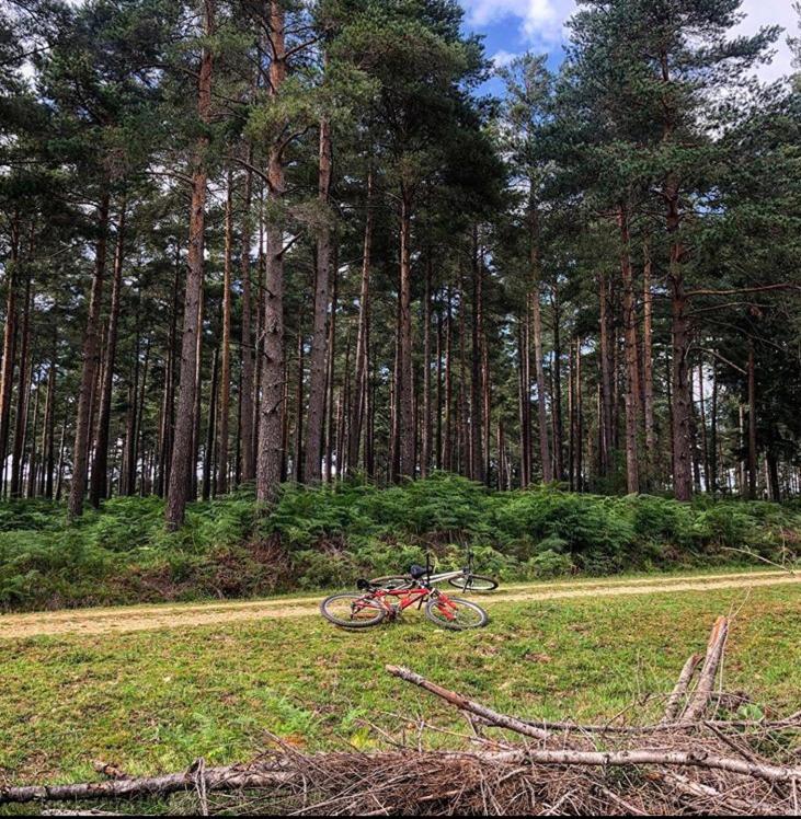 Redbrook Farm Bnb - Gateway To The New Forest Fordingbridge Extérieur photo
