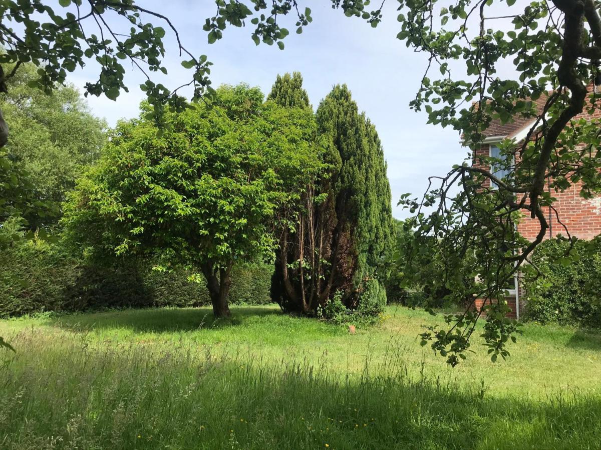 Redbrook Farm Bnb - Gateway To The New Forest Fordingbridge Extérieur photo